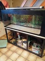 Aquarium 360 litres, Animaux & Accessoires, Poissons | Aquariums & Accessoires, Enlèvement, Utilisé