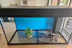 Aquarium 110L, Ophalen, Zo goed als nieuw, Leeg aquarium