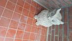 Tuinbeeld uil, Tuin en Terras, Ophalen, Zo goed als nieuw, Beton, Dierenbeeld