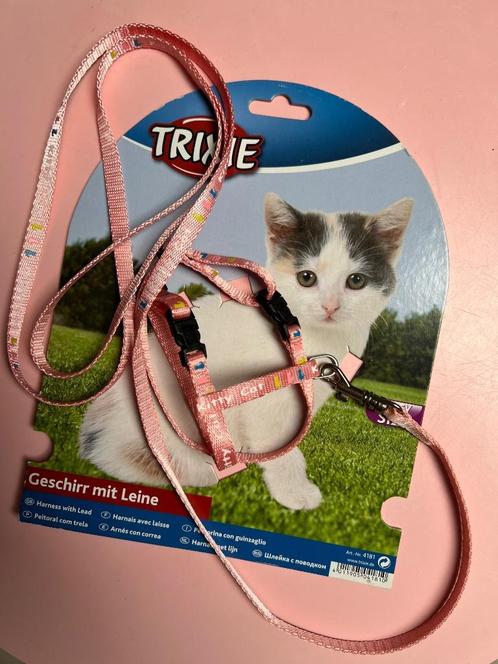 Harnais avec laisse Trixie pour chaton :, Animaux & Accessoires, Accessoires pour chats, Neuf, Enlèvement ou Envoi