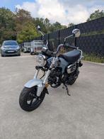 Honda ST125 Dax, Bedrijf, Overig, 11 kW of minder, 124 cc