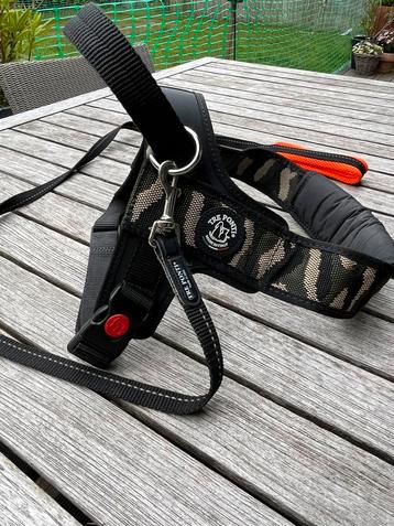 Hondentuig tre ponti  beschikbaar voor biedingen