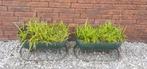 Plantenbak, Gebruikt, Minder dan 30 cm, Minder dan 60 cm, Metaal