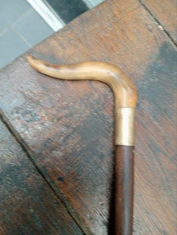 Riethoorn  beschikbaar voor biedingen