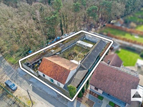 Huis te koop in Maaseik, 3 slpks, Immo, Huizen en Appartementen te koop, Vrijstaande woning, F