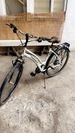 Prophet fiets voor volwassenen, Ophalen, Zo goed als nieuw