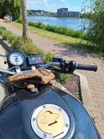 Ducati 600M, Motoren, Particulier