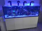 Zeeaquarium, Dieren en Toebehoren, Ophalen, Gebruikt, Leeg aquarium