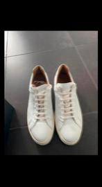 NIEUW Tommy Hilfiger Herenschoenen maat 45., Kleding | Heren, Schoenen, Wit, Nieuw, Ophalen of Verzenden, Sneakers