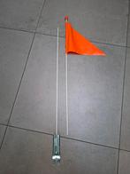 Vlagje van fiest, Enlèvement