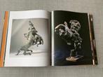 Jan Desmarets Kunstboek & Signed., Ophalen, Beeldhouwkunst, Nieuw, Hugo Brutin