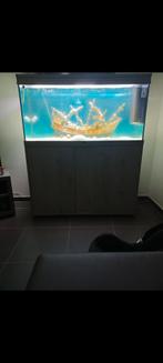 Aquarium met boot en filter bij en meubelkast, Comme neuf, Enlèvement ou Envoi