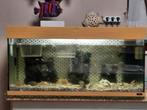 Aquarium  in werking., Ophalen, Zo goed als nieuw