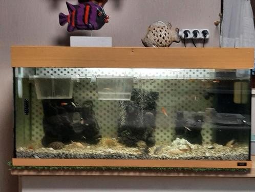 Aquarium  in werking., Dieren en Toebehoren, Vissen | Aquaria en Toebehoren, Zo goed als nieuw, Ophalen