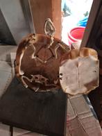 Taxidermie, Verzamelen, Ophalen, Gebruikt, Opgezet dier