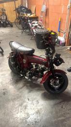 GEZOCHT!!! A1 MOTO PAPS DAX, Fietsen en Brommers, Brommers | Honda, Ophalen, Zo goed als nieuw