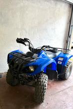 Grizzly 125, Motoren, Quads en Trikes