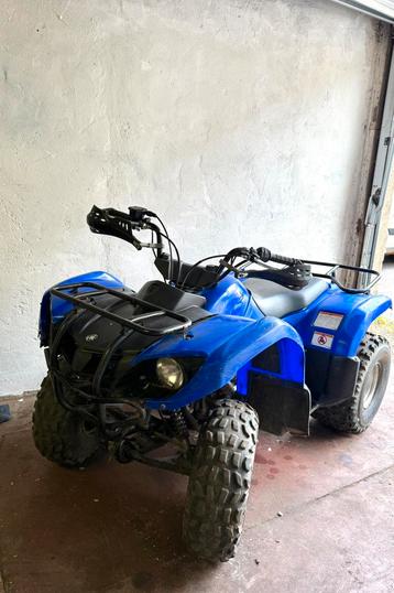 Grizzly 125 beschikbaar voor biedingen