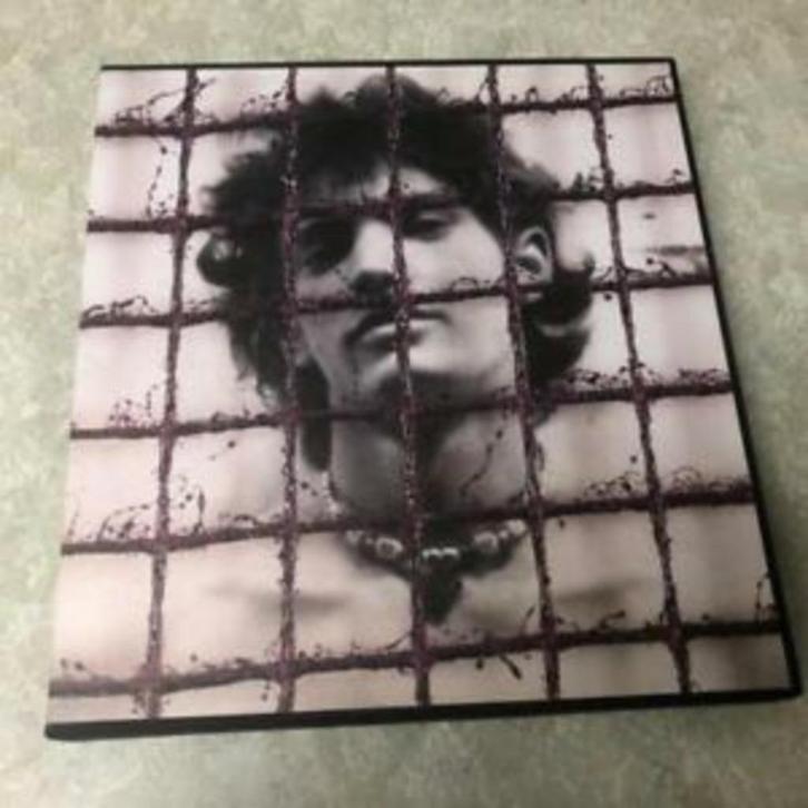 Robert Mapplethorpe  5      Fotoboek, Boeken, Kunst en Cultuur | Fotografie en Design, Nieuw, Fotografen, Verzenden