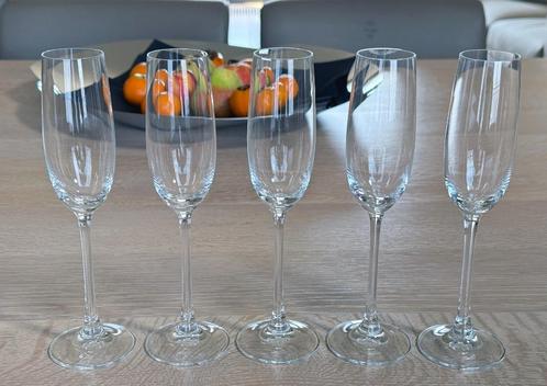 Nachtmann / 5 x kristallen champagneglazen / Kristal / NIEUW, Verzamelen, Porselein, Kristal en Bestek, Zo goed als nieuw, Glas of Glazen