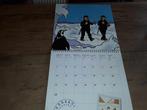 kuifje kalender 2005, Verzamelen, Stripfiguren, Ophalen of Verzenden, Kuifje, Nieuw, Plaatje, Poster of Sticker