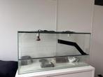 Gratis terrarium, Ophalen, Gebruikt, Terrarium of Paludarium