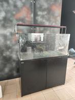 Aquarium RedSea xxl, Animaux & Accessoires, Comme neuf, Enlèvement ou Envoi