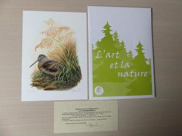 Dessin numéroté Buzin Bécasse des bois + certificat 31/400 disponible aux enchères