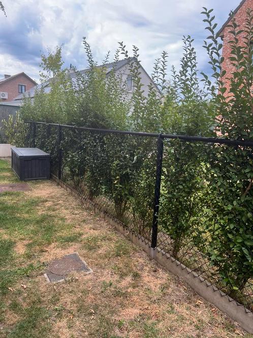 Bekaert omheining, Tuin en Terras, Tuinhekken en Hekwerk, Zo goed als nieuw, Ophalen
