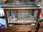 Terrarium te koop, Dieren en Toebehoren, Ophalen, Gebruikt, Terrarium of Paludarium