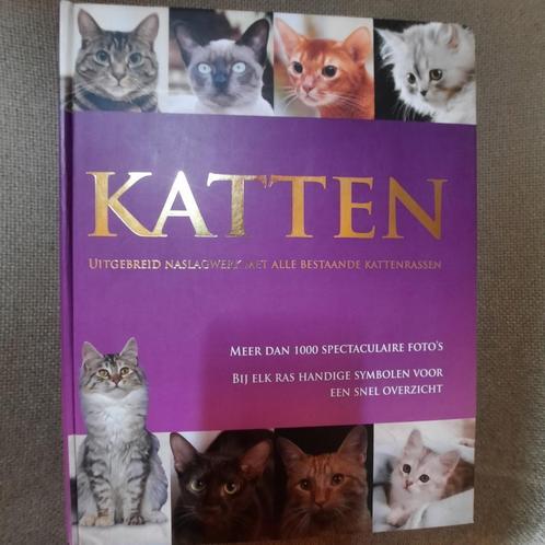 KATTEN - CANDIDA FRITH-MACDONALD, Boeken, Dieren en Huisdieren, Katten, Ophalen of Verzenden