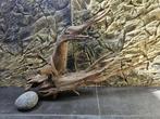aquarium, RiverCatch, Plant(en), Steen of Hout, Nieuw, Ophalen of Verzenden