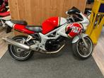 Suzuki Tour « Lucky Strike » 600 Motorcycle 1999, Motos, Motos | Suzuki, Entreprise, Autre
