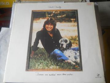 LP - David Cassidy - Les rêves ne sont rien de plus que des, Enlèvement ou Envoi, 1960 à 1980, Comme neuf