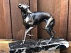 mooi statig whippet windhondje op marmer, Antiek en Kunst, Ophalen of Verzenden