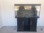 Juwel Rio 350l aquarium met meubel, Animaux & Accessoires, Comme neuf, Enlèvement, Aquarium vide