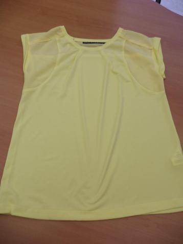 T-shirts in maat S beschikbaar voor biedingen
