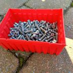 Bakje schroeven M4 M5, Enlèvement, Neuf, Vis