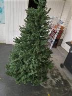 Sapin de Noël, Divers, Enlèvement, Comme neuf
