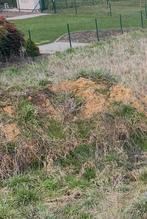 Zavelgrond in Appels Dendermonde, Tuin en Terras, Ophalen