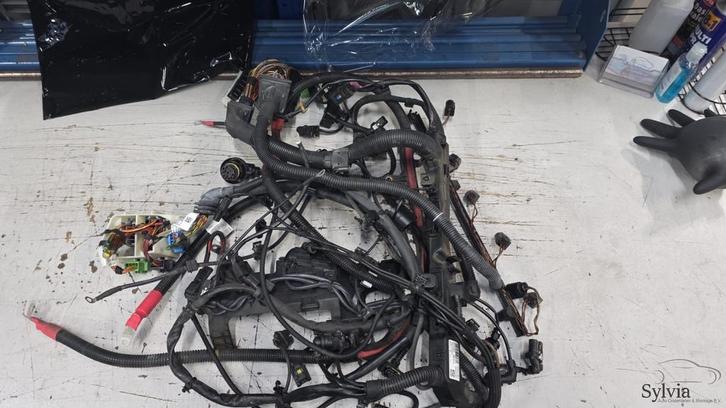Kabelboom motorkabelboom N57 BMW X3 F25 12428515491 8515491, Auto-onderdelen, Elektronica en Kabels, Gebruikt, Ophalen of Verzenden