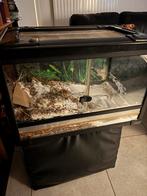 Terrarium 60x40x40, Dieren en Toebehoren, Ophalen, Gebruikt, Terrarium of Paludarium