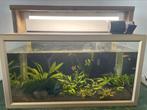 Aquarium 70 cm compleet, Dieren en Toebehoren, Ophalen, Zo goed als nieuw