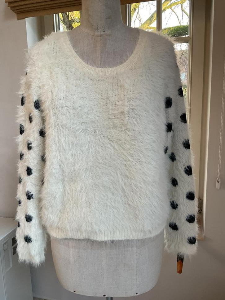 Trui maat L, Kleding | Dames, Truien en Vesten, Zo goed als nieuw, Maat 42/44 (L), Ophalen of Verzenden