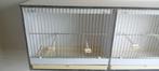 Opleerkooien, Dieren en Toebehoren, Vogels | Toebehoren, Ophalen, Nieuw, Overige typen