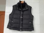 Bodywarmer kleine 44. Hampton bays., Ophalen of Verzenden, Zo goed als nieuw