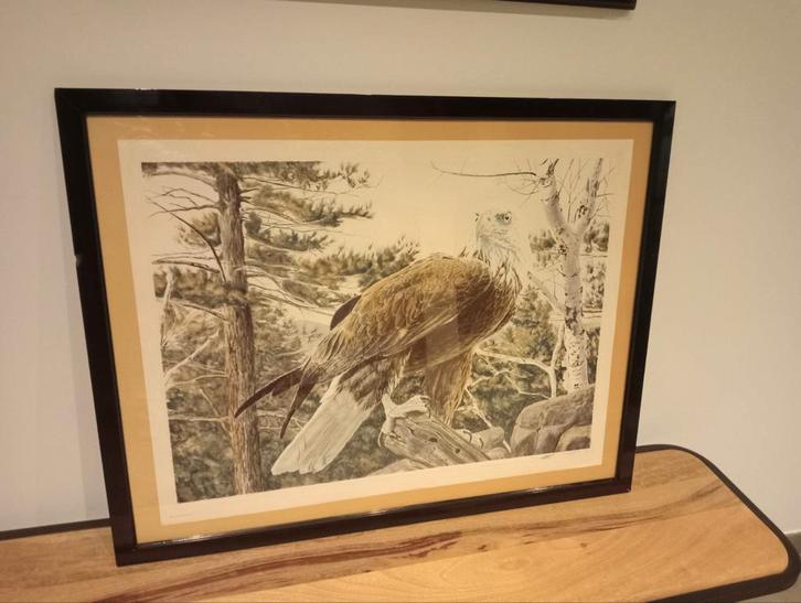 SCOTT WOOLEVER, Antiek en Kunst, Kunst | Litho's en Zeefdrukken, Ophalen