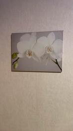 Canvas bloemen, Antiek en Kunst, Ophalen