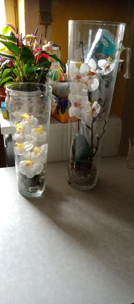Twee kunstplanten Orchidee wit in glazen vaas (H60 en 40cm), Maison & Meubles, Accessoires pour la Maison | Plantes & Fleurs artificielles