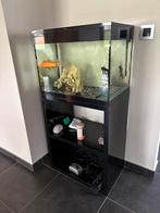 Aquarium, Dieren en Toebehoren, Ophalen, Zo goed als nieuw
